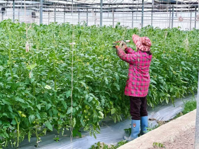 屏幕截图 2026-03-27 160940.png